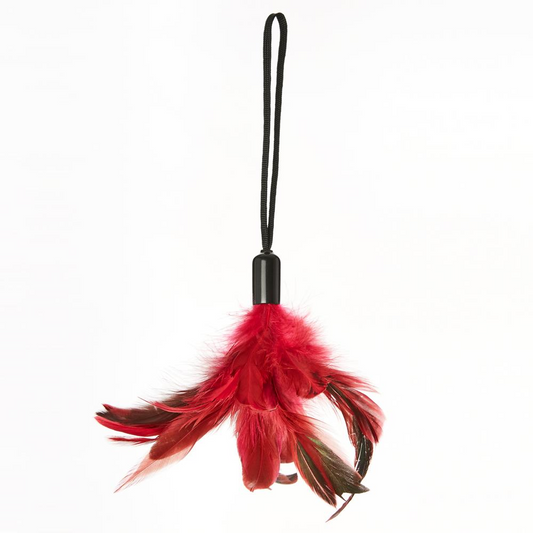 Pleasure Feather Tickler